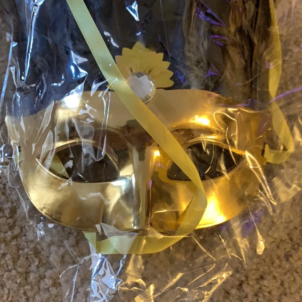 Masquerade Mask with Feathers